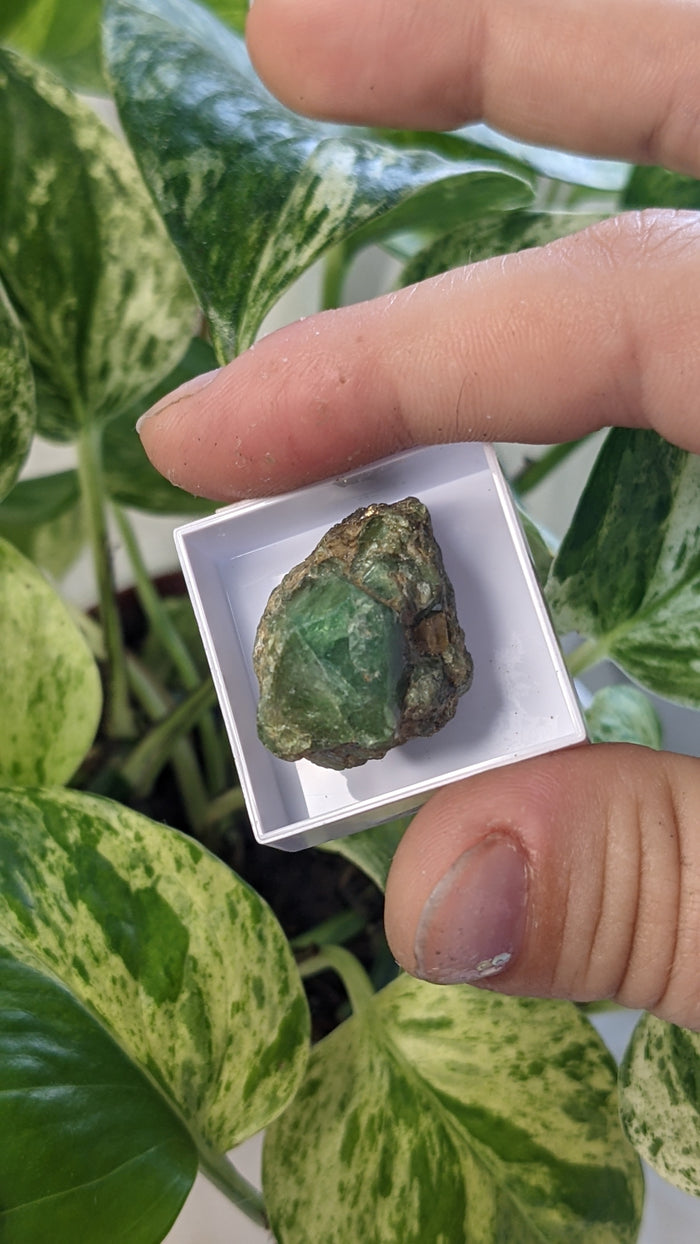 Tsavorite, Grossular Green Garnet from Merelani Hills, Lelatema Mountains, Manyara Region, Tanzania