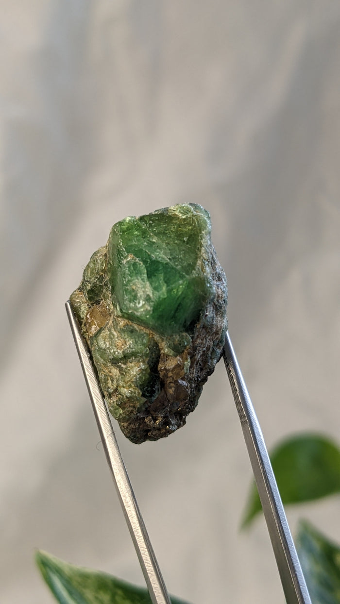 Tsavorite, Grossular Green Garnet from Merelani Hills, Lelatema Mountains, Manyara Region, Tanzania