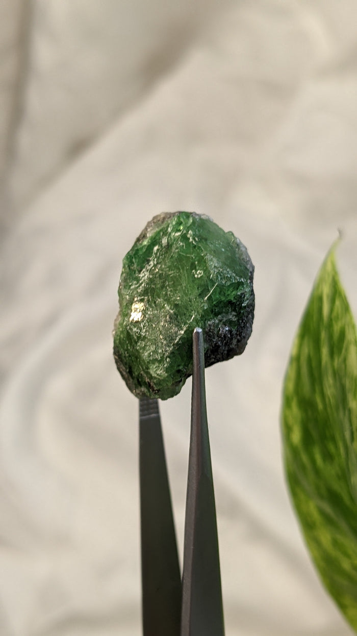 Tsavorite, Grossular Green Garnet from Merelani Hills, Lelatema Mountains, Manyara Region, Tanzania