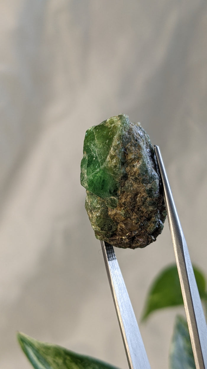 Tsavorite, Grossular Green Garnet from Merelani Hills, Lelatema Mountains, Manyara Region, Tanzania