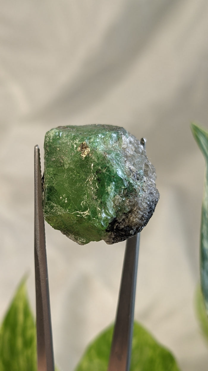 Tsavorite, Grossular Green Garnet from Merelani Hills, Lelatema Mountains, Manyara Region, Tanzania