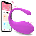 Vibrator Sex Toy with App Controlled Wholesale Vibrating Wearable Egg Mobile Control Vibrator Sex Toys for Woman