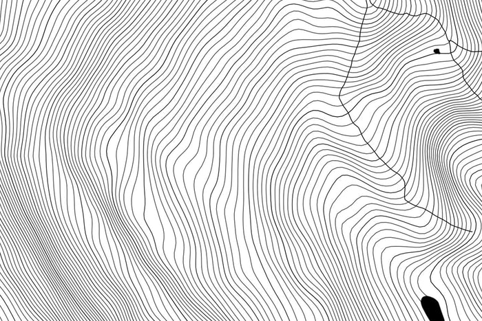 Whistler Topographic Map Art