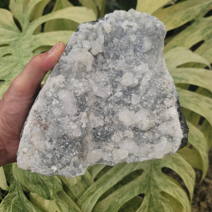 White Calcite Cluster (6.2 lbs _ SL-53)